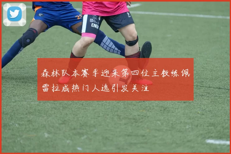 森林队本赛季迎来第四位主教练佩雷拉成热门人选引发关注
