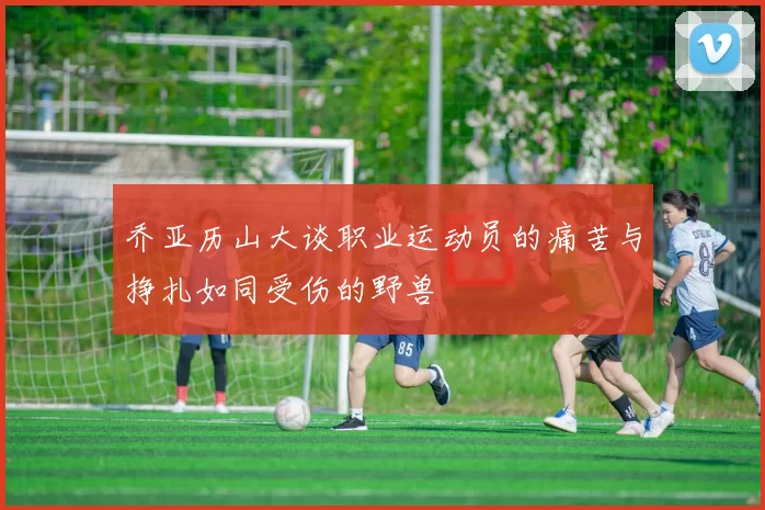 乔亚历山大谈职业运动员的痛苦与挣扎如同受伤的野兽